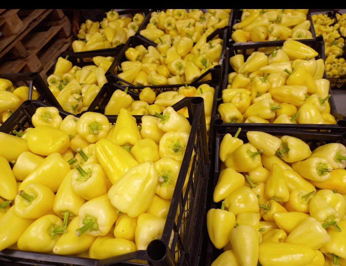 1KG peppers from Kosovo