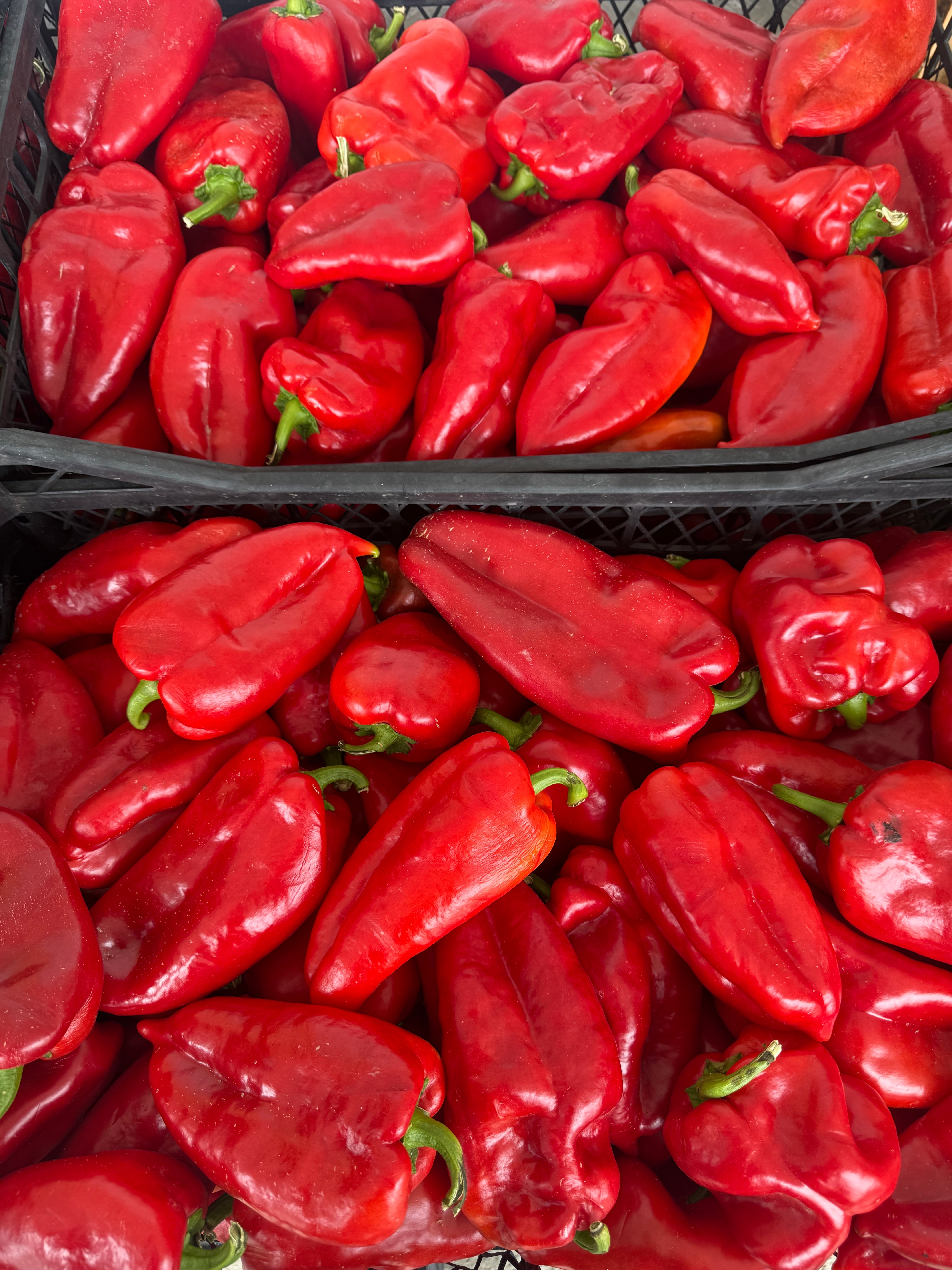 1Kg ROTE PAPRIKA AUS MAZEDONIEN / SPECA TE KUQE NGA MACEDONIA